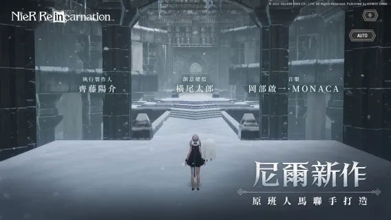 尼爾康乃馨