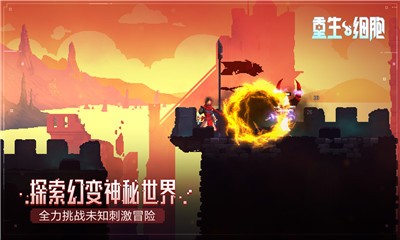 重生細胞2.